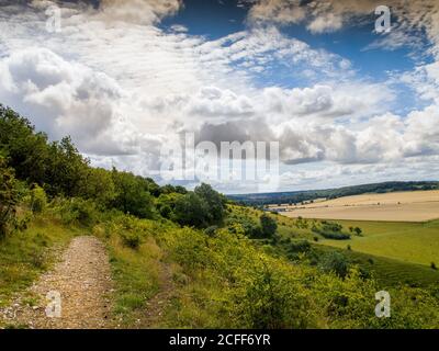 Ashridge Estate Downland in den Chilterns, England, Großbritannien Stockfoto