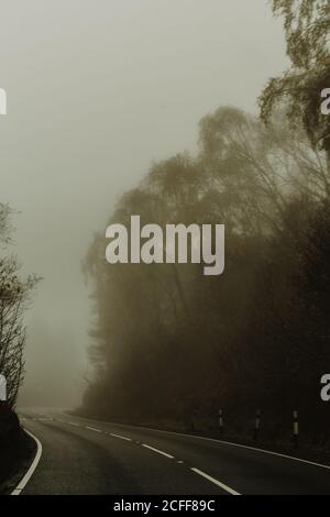 Leere gerade Straße mit Nebel im Wald von Bäumen umgeben Neblige Autobahn an bewölktem Tag Stockfoto