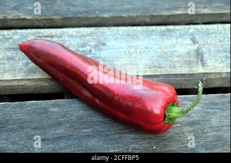 Lange reife rote Paprika auf alten Holzgitter horizontal Nahaufnahme des Fotos Stockfoto