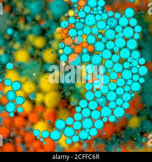 Hintergrund mit Draufsicht auf abstraktes, leuchtendes Blau und Orange Inky Kreise auf verschwommener mehrfarbiger transparenter Oberfläche platziert Stockfoto