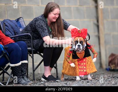 Louise Behrendt mit Ruby, dem Boxerhund, der als Herzkönigin gekleidet ist, während eines Alice im Wunderland und Charlie und der Furbabys Dog Pageant im Chocolate Factory-Stil in der Jodhpurs Riding School in Tockwith, North Yorkshire. Stockfoto