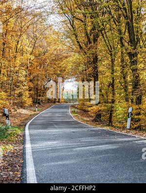 Eine kurvenreiche Straße mit lockeren Herbstblättern durch Herbstbäume in deutschland rheinland palantino. Stockfoto