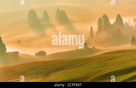 Herbst nebliger Sonnenaufgang auf der Seiser Alm. Dolomiten, Italien Stockfoto