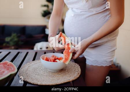 Ernte schwangere Frau in weißen Hauskleidung Schneiden Wassermelone zu Weiße Schale auf der Terrasse, während der Hund hinter einem Holztisch sitzt Und beobachten Stockfoto