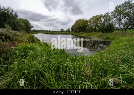 Aston Schleusen Naturschutzgebiet neben dem Montgomery Kanal in Shropshire Großbritannien Stockfoto