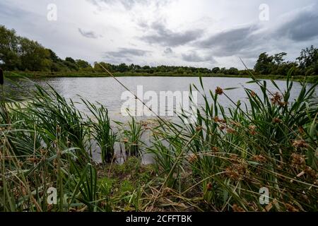 Aston Schleusen Naturschutzgebiet neben dem Montgomery Kanal in Shropshire Großbritannien Stockfoto