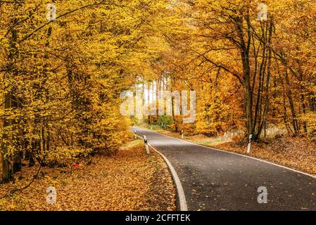 Eine kurvenreiche Straße mit lockeren Herbstblättern durch Herbstbäume in deutschland rheinland palantino. Stockfoto