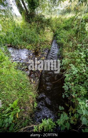 Ablaufendes Wasser läuft einen Graben an den Aston Schleusen hinunter Naturschutzgebiet in Shropshire Großbritannien Stockfoto