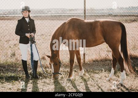 Teenager-Mädchen im Jockey-Outfit stehen mit Kastanie Pferd pastoring In der Nähe von Zaun der Ranch Stockfoto