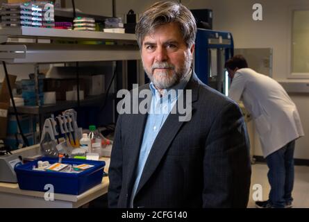 Dr. Seth Crosby, MD, Director of Science Collaborations am McDonnell Genome Institute der Washington University in St. Louis. Stockfoto