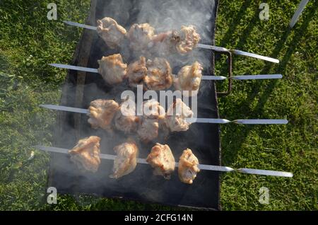 Marinierte Schaschlik vorbereiten auf ein Barbecue-Grill auf Holzkohle. Stockfoto