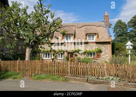 Reetgedeckte Hütte in der Nähe von Norfolk Broads. Frontalansicht von der Straße mit Baum, Zaun und Vogeltisch nach vorne. Blauer Himmel und leichte Wolken. Querformat Stockfoto