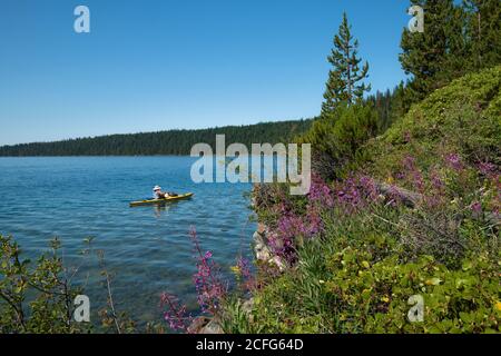 USA; Pazifischer Nordwesten; Oregon, La Pine, Newberry National Volcanic Monument, Paulina Lake, Stockfoto