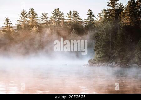 Am frühen Morgen erhebt sich Nebel aus dem ruhigen Wasser des bald Mountain Pond, Maine Stockfoto