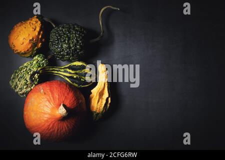 Gruppe von dekorativen Kürbissen auf dunkelschwarzem Hintergrund. Draufsicht Kopierraum Stockfoto