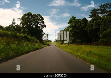 Leere Asphaltstraße zwischen grünem Gras und großen Bäumen unter Blauer Himmel mit weißen Wolken auf dem Hintergrund in Costa Rica Stockfoto