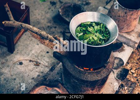 Cassia Baum, Thai Kupfer Podl in Topf zum Kochen machen Nahrung und Aroma Kraut. Stockfoto