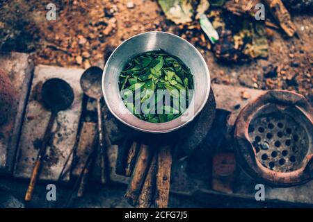 Cassia Baum, Thai Kupfer Podl in Topf zum Kochen machen Nahrung und Aroma Kraut. Stockfoto