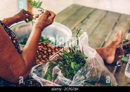 Cassia Tree, Thai Kupfer Podl. Alte Frauen sitzen auf Holztisch und bereiten Kochen mit Lebensmitteln Zutat. Stockfoto