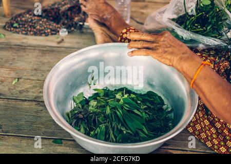 Cassia Tree, Thai Kupfer Podl. Alte Frauen sitzen auf Holztisch und bereiten Kochen mit Lebensmitteln Zutat. Stockfoto