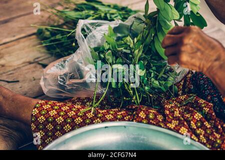 Cassia Tree, Thai Kupfer Podl. Alte Frauen sitzen auf Holztisch und bereiten Kochen mit Lebensmitteln Zutat. Stockfoto