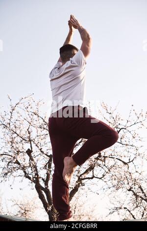 Von unten unerkennbarer Mann, der Yoga gegen schönen blühenden Baum macht Und wolkenloser Himmel an sonnigen Tagen im Frühlingsgarten Stockfoto