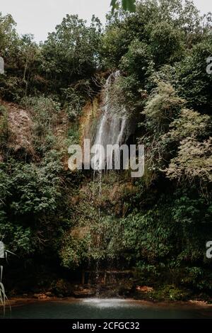 Malerische Landschaft von kleinen Wasserfall mit Pool, der zwischen Grün fließt Pflanzen im tropischen Wald Stockfoto