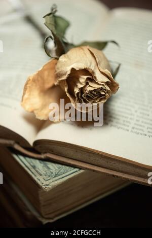Stapel von Büchern und getrockneten Blumen auf Holztisch Stockfoto