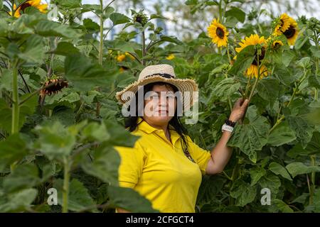 Eine Asiatin mittleren Alters, Mitte 50, mit Strohhut. Stockfoto