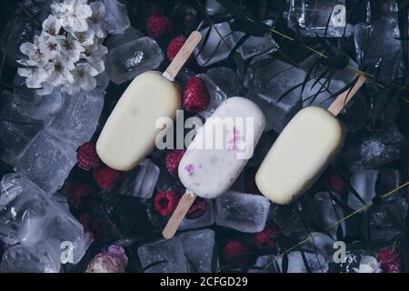 Draufsicht Stillleben von verschiedenen cremigen Himbeere und Vanille-Eis-Eis platziert auf Eiswürfel, gefrorene Früchte und Blumen Hintergrund Stockfoto