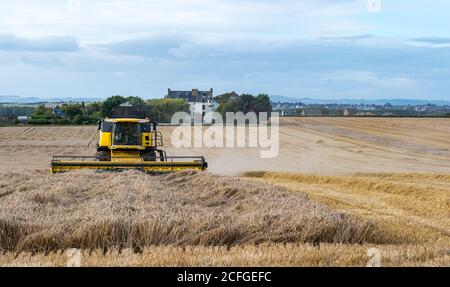 East Lothian, Schottland, Großbritannien, 5. September 2020. UK Wetter: Letzte Getreideernte. Die letzten Getreidefelder werden in diesem Teil der Grafschaft geerntet. Ein Weizenfeld neben Ballencrieff House mit einem New Holland Mähdrescher Stockfoto