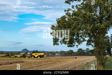 East Lothian, Schottland, Großbritannien, 5. September 2020. UK Wetter: Letzte Getreideernte. Die letzten Getreidefelder werden in diesem Teil der Grafschaft geerntet. Ein Blick auf Berwick Law in der Ferne mit einem New Holland Mähdrescher Stockfoto