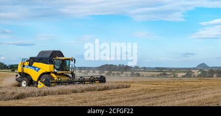 East Lothian, Schottland, Großbritannien, 5. September 2020. UK Wetter: Letzte Getreideernte. Die letzten Getreidefelder werden in diesem Teil der Grafschaft geerntet. Ein Blick auf Berwick Law in der Ferne mit einem New Holland Mähdrescher Stockfoto
