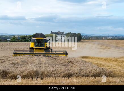 East Lothian, Schottland, Großbritannien, 5. September 2020. UK Wetter: Letzte Getreideernte. Die letzten Getreidefelder werden in diesem Teil der Grafschaft geerntet. Ein Weizenfeld neben Ballencrieff House mit einem New Holland Mähdrescher Stockfoto