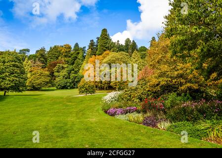 Killerton National Trust House and Garden in Devon. Stockfoto