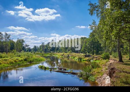 Malerische Landschaft mit ruhigen Fluss und grüner Vegetation. Stockfoto