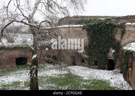 Alte und historische Festung Petrovaradin. Die Geheimnisse der verlassenen Burg. Stockfoto