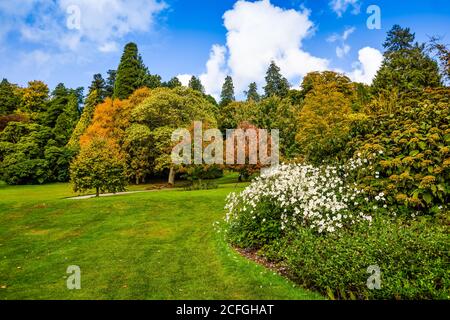 Killerton National Trust House and Garden in Devon. Stockfoto