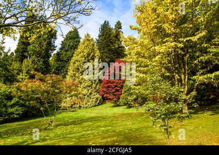 Killerton National Trust House and Garden in Devon. Stockfoto