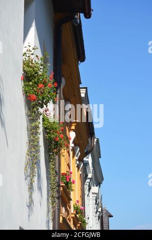 Niedriger Winkel Blick auf historische bunte Reihenhäuser Fassade Wand mit Blumen in den Fenstern Stockfoto