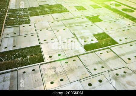 Plasmaschneiden im Werk. Blech geschnitten. Details. Stockfoto