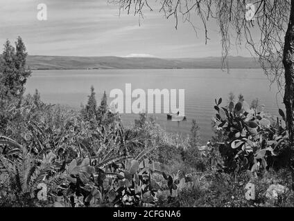 Geschichte des Nahen Ostens - malerische Aussicht auf Mt. Hermon & der See. See von Galiläa & Mt. Hermonkaktus & Bananen im Vorgarten Stockfoto