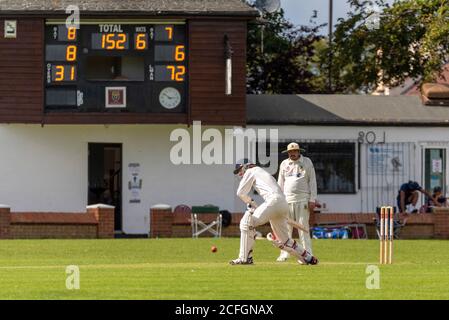 Cricket wird in Chalkwell Park, Westcliff on Sea, Southend, Essex, Großbritannien gespielt. Leigh on Sea Cricket Club Batsman schlug vor dem Clubhaus Stockfoto