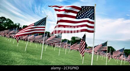 Ausstellung von amerikanischen Flaggen für Memorial Day. Stockfoto