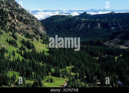 Huckleberry Creek Entwässerung von Sourdough Ridge, Mt Rainier National Park, Washington Stockfoto