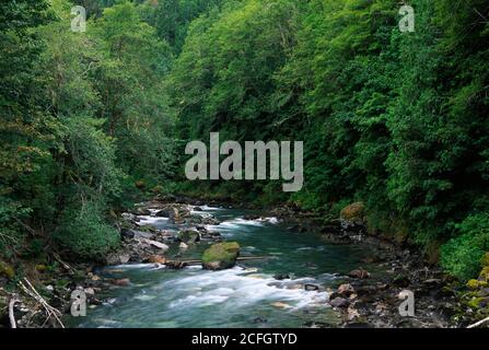 North Fork Sauk Wild and Scenic River, Mt Baker-Snoqualmie National Forest, Washington Stockfoto