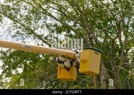 Sittee River Village, Stann Creek District, Belize - 04. September 2020: Belize Elictricity Limited Crews führen nach dem Hurrikan Nana Reparaturen an Stromleitungen durch Stockfoto