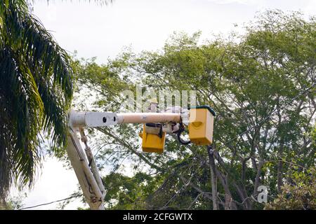 Sittee River Village, Stann Creek District, Belize - 04. September 2020: Belize Elictricity Limited Crews führen nach dem Hurrikan Nana Reparaturen an Stromleitungen durch Stockfoto