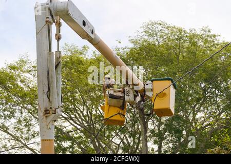 Sittee River Village, Stann Creek District, Belize - 04. September 2020: Belize Elictricity Limited Crews führen nach dem Hurrikan Nana Reparaturen an Stromleitungen durch Stockfoto