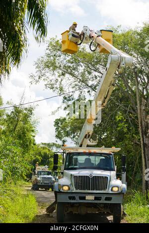 Sittee River Village, Stann Creek District, Belize - 04. September 2020: Belize Elictricity Limited Crews führen nach dem Hurrikan Nana Reparaturen an Stromleitungen durch Stockfoto